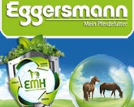 Eggersmann